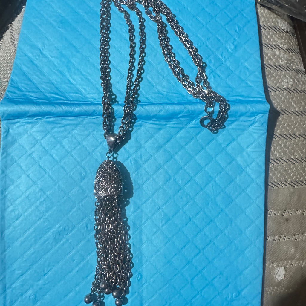 Sophisticated Silver Tassel Necklace 20$
